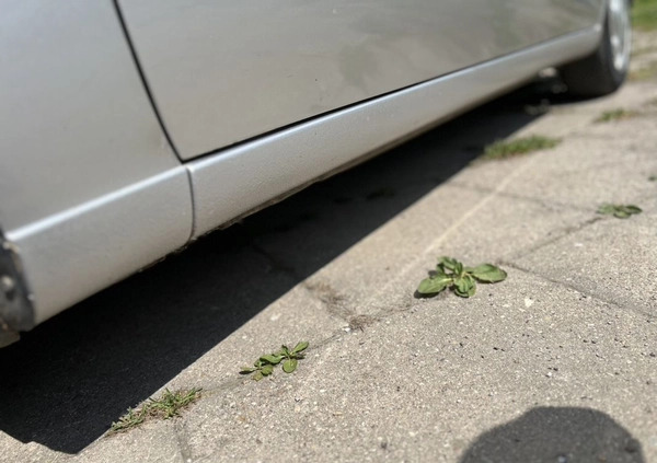Toyota Carina cena 7800 przebieg: 229627, rok produkcji 1996 z Łódź małe 301